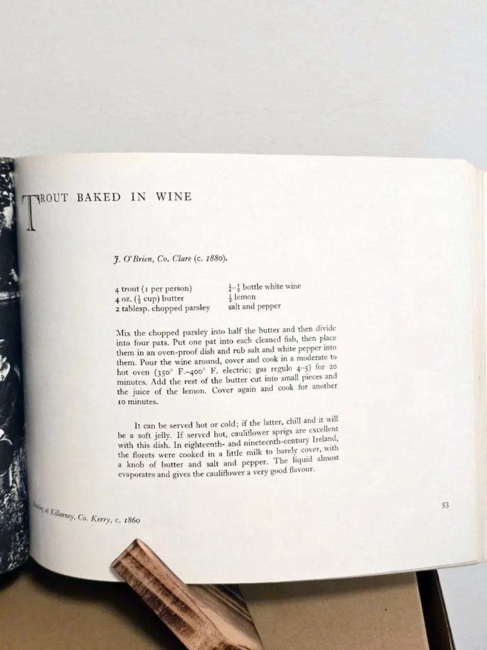 Vintage Irish Cookbook A Taste of Ireland 1970 Illustrated Recipes Photos